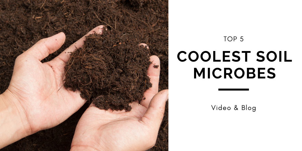 Top 5 Coolest Soil EVER!